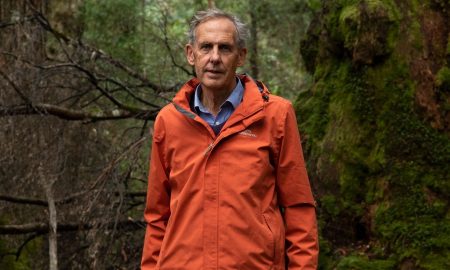 Bob Brown in the Tarkine (photo: Matthew Newton)